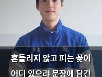 흔들리지 않고 피는 꽃이 어디 있으랴 문장에 담긴 의미