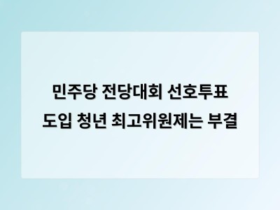 민주당 선호투표제 도입에 청년 대의원 제도 부결로 갈등 심화