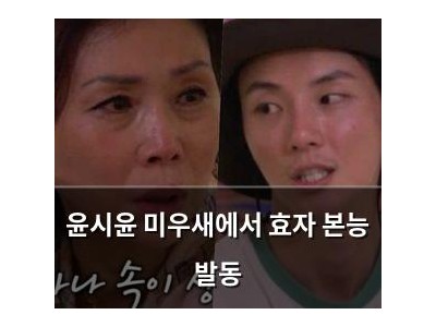 윤시윤 미우새에서 효자 본능 발동
