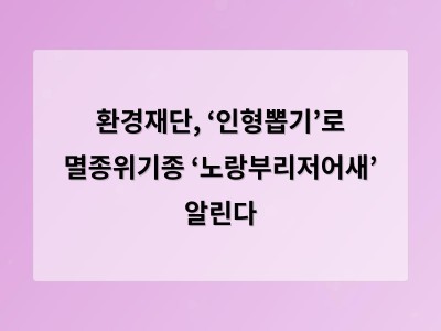 환경재단, ‘인형뽑기’로 멸종위기종 ‘노랑부리저어새’ 알린다 - 홍대 카페