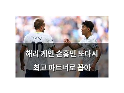 해리 케인 손흥민 또다시 최고 파트너로 꼽아