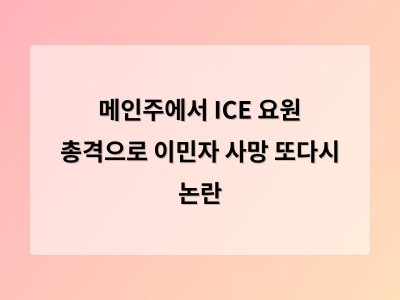 이민자 총격 사건으로 ICE 보디캠 의무화 논의 다시 부상