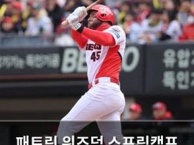 패트릭 위즈덤 스프링캠프 공약 이행하나