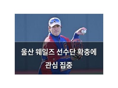 울산 웨일즈 선수단 확충에 관심 집중