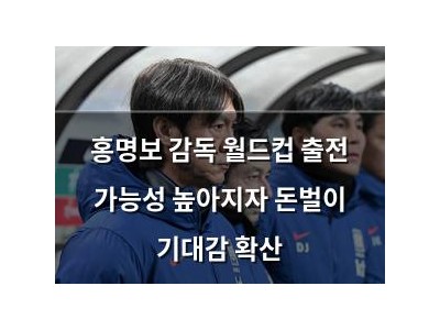 홍명보 감독 월드컵 출전 가능성 높아지자 돈벌이 기대감 확산
